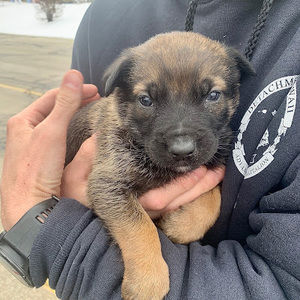 Meet your Posher, Cy